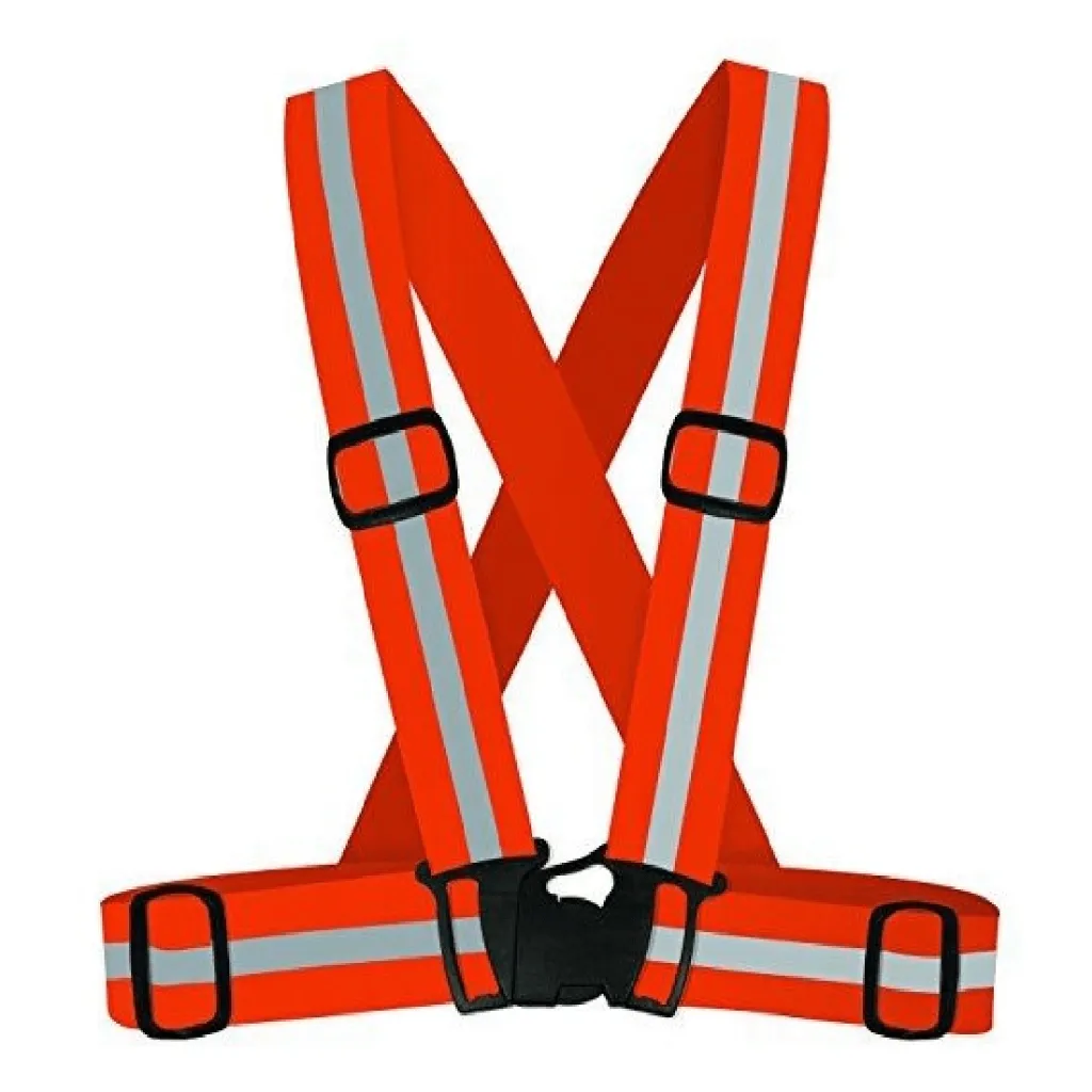 SV501-ORN.webp
