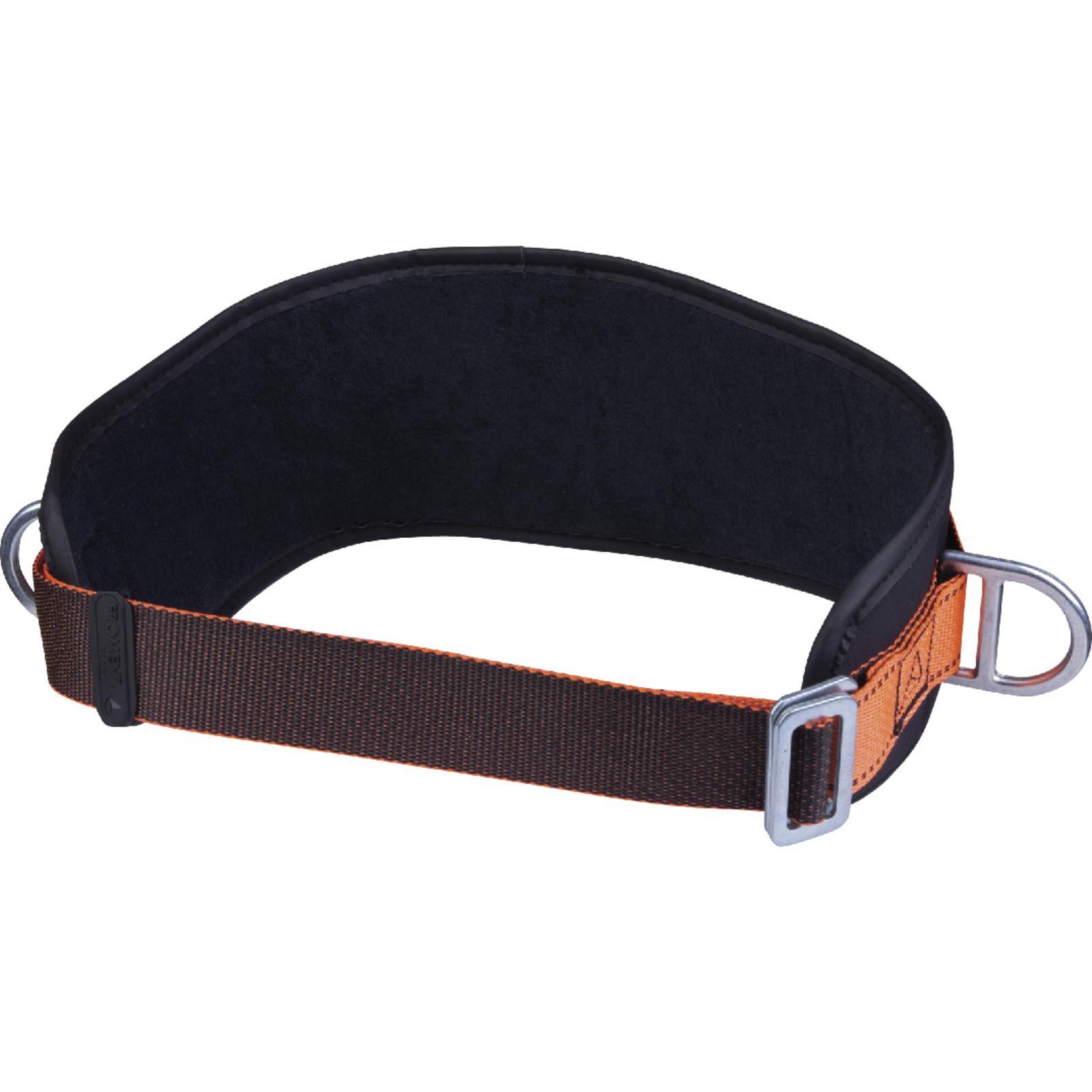 DELTA PLUS Positioning Belt with Thermoformed Back - Safetyware Sdn Bhd