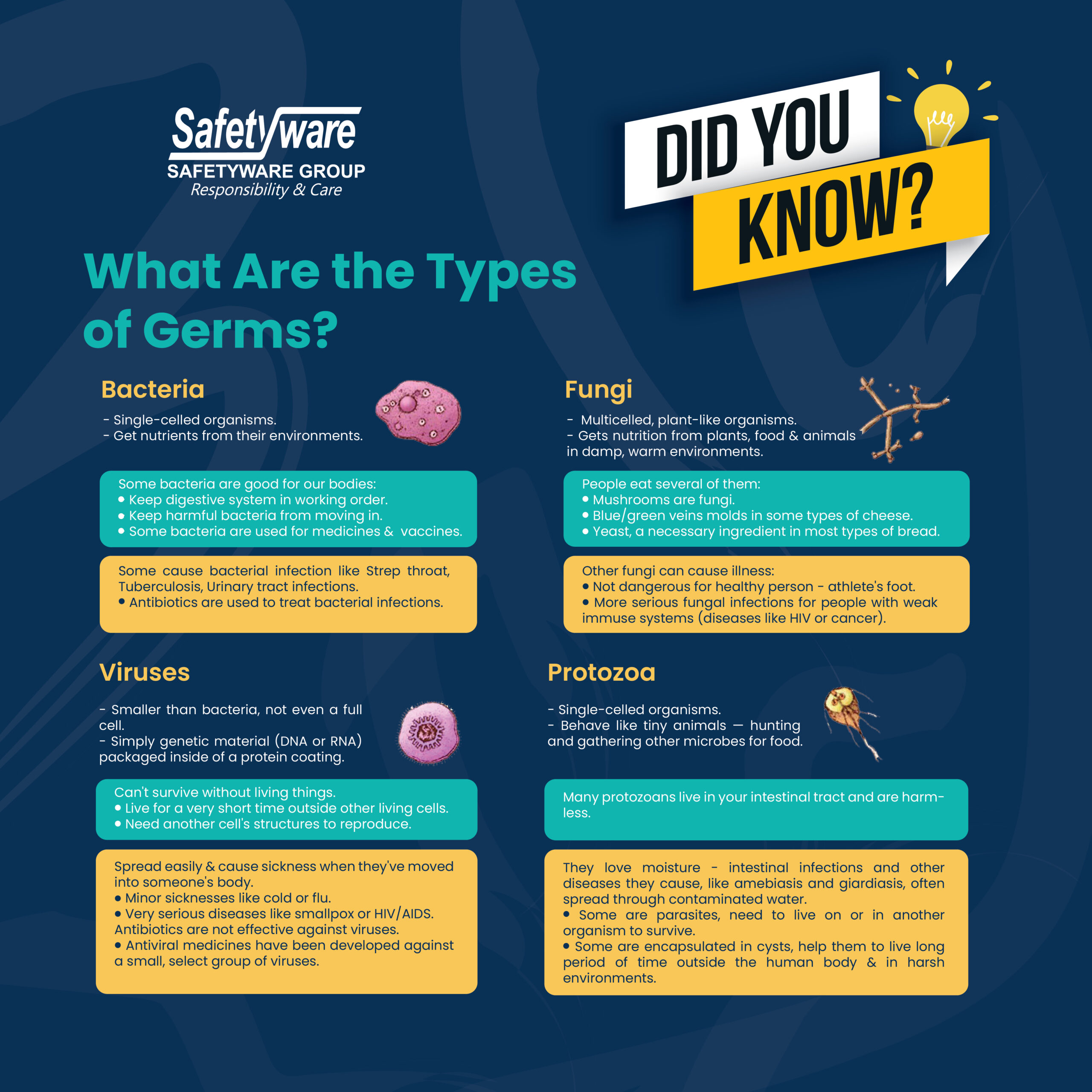 Types of Germs-01