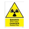 QUICKSIGN WARNING SIGNS - WS005 DANGER Radiation Risk