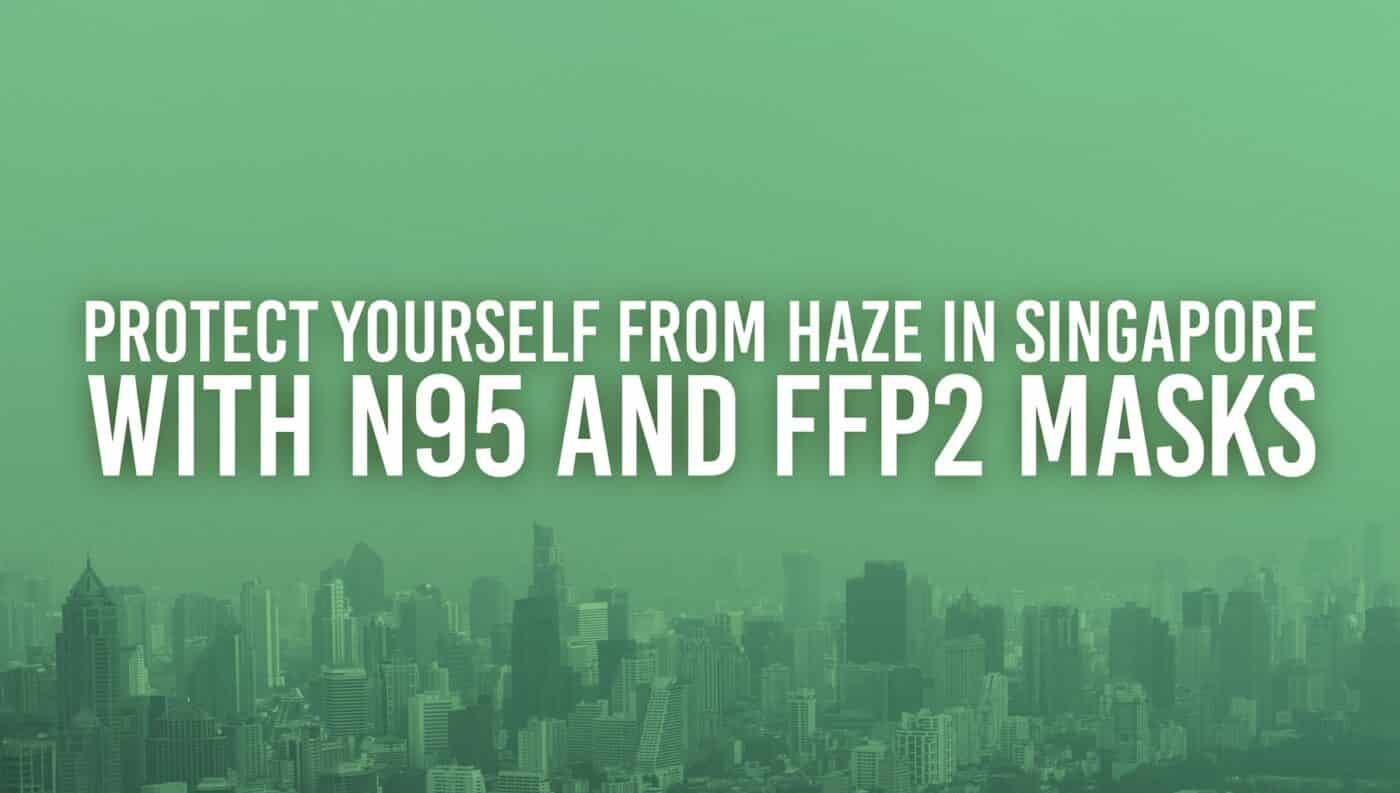 Safetyware N95 Mask FFP2 Mask Haze